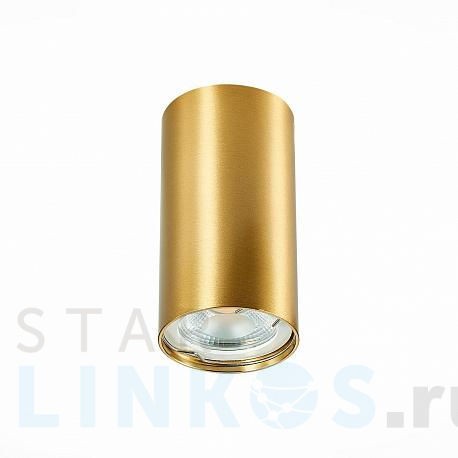 Купить Потолочный светильник ST Luce ST110.207.01 за 820 руб. в Туле фото 2 Купить с доставкой Потолочный светильник ST Luce ST110.207.01 в Туле фото 2