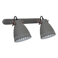 Купить Спот Camelion WML-428-2 C08 13063 в Туле