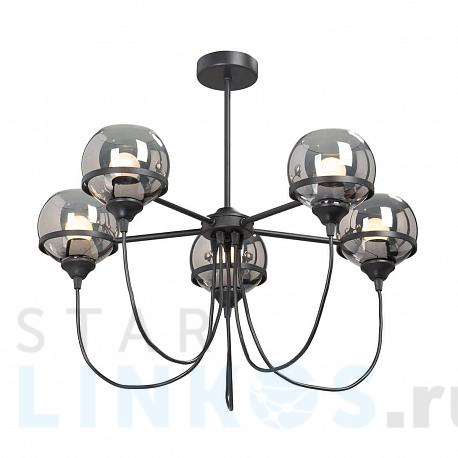 Купить Подвесная люстра Vitaluce V4483-1/5PL за 6 531 руб. в Туле фото 2 Купить с доставкой Подвесная люстра Vitaluce V4483-1/5PL в Туле фото 2