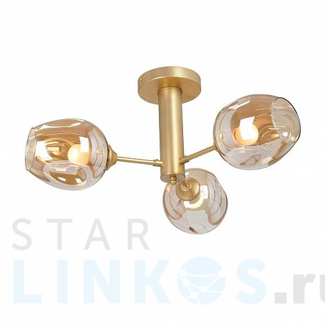 Купить Потолочная люстра Vitaluce V3956-8/3PL за 7 978 руб. в Туле фото 2 Купить с доставкой Потолочная люстра Vitaluce V3956-8/3PL в Туле фото 2