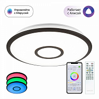 Купить Потолочный светодиодный светильник Citilux Старлайт Смарт CL703A45G в Туле