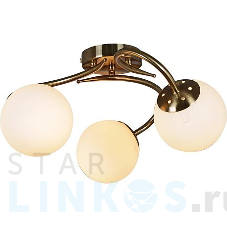 Купить Потолочная люстра Reluce 81724-0.3-03 за 2 700 руб. в Туле фото 2 Купить с доставкой Потолочная люстра Reluce 81724-0.3-03 в Туле фото 2