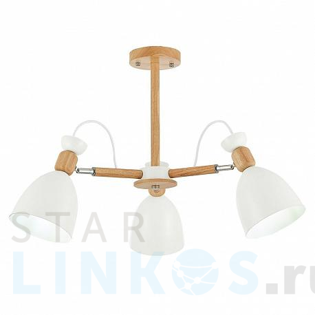 Купить Потолочная люстра Evoluce Balcamo SLE103802-03 за 9 730 руб. в Туле фото 2 Купить с доставкой Потолочная люстра Evoluce Balcamo SLE103802-03 в Туле фото 2