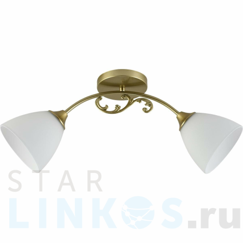 Купить Потолочный светильник Reluce 11380-0.3-02B GOLD за 1 620 руб. в Туле Купить с доставкой Потолочный светильник Reluce 11380-0.3-02B GOLD в Туле