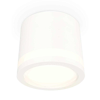 Купить Комплект накладного светильника Ambrella light Techno Spot XS (C8110, N8412) XS8110003 в Туле