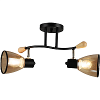 Купить Спот Reluce 04760-0.8-02 в Туле