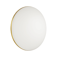 Купить Настенно-потолочный светодиодный светильник Sonex Tan Lassa 3043/EL в Туле