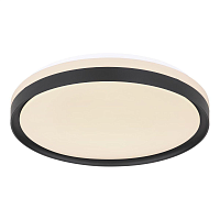 Купить Потолочный светодиодный светильник Globo Sonny 41587-18 в Туле