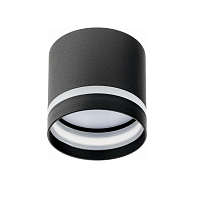 Купить Накладной потолочный светильник Ritter Arton 59943 2 в Туле