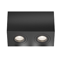 Купить Потолочный светильник Maytoni Technical Atom C017CL-02B в Туле