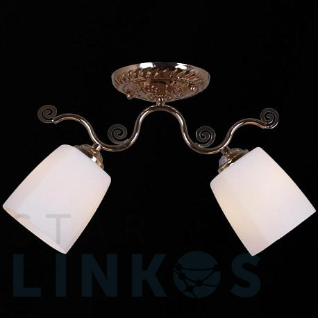 Купить Потолочный светильник Reluce 31409-0.3-02 за 1 780 руб. в Туле фото 2 Купить с доставкой Потолочный светильник Reluce 31409-0.3-02 в Туле фото 2