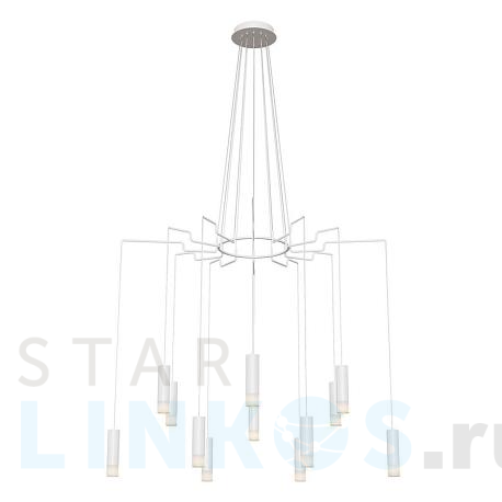 Купить Подвесная люстра Maytoni Davida MOD035PL-12W за 33 906 руб. в Туле фото 2 Купить с доставкой Подвесная люстра Maytoni Davida MOD035PL-12W в Туле фото 2