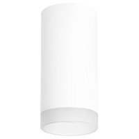 Купить Потолочный светильник Lightstar Rullo (216486+202480) R648680 в Туле