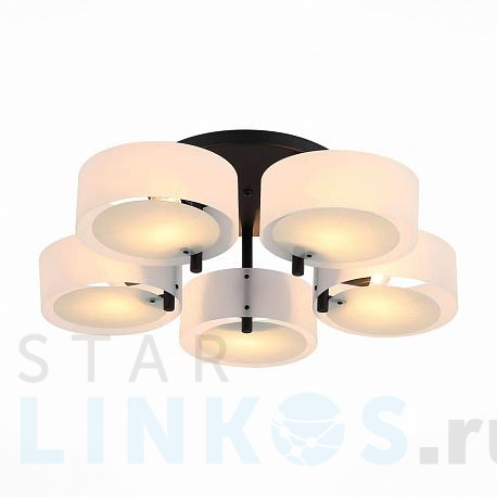 Купить Потолочная люстра Evoluce Foresta SL483.402.05 за 19 800 руб. в Туле фото 2 Купить с доставкой Потолочная люстра Evoluce Foresta SL483.402.05 в Туле фото 2