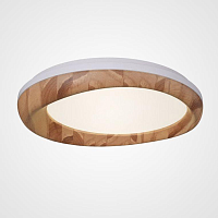 Купить Потолочный светодиодный светильник Imperium Loft Runis 219476-26 в Туле