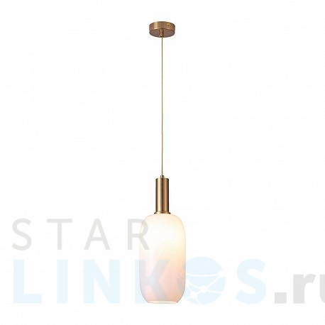 Купить Подвесной светильник Moderli Martin V2890-1P за 6 990 руб. в Туле фото 2 Купить с доставкой Подвесной светильник Moderli Martin V2890-1P в Туле фото 2