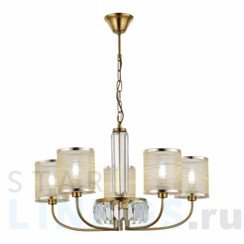 Купить Подвесная люстра Evoluce Ellisse SLE1119-303-05 за 13 790 руб. в Туле Купить с доставкой Подвесная люстра Evoluce Ellisse SLE1119-303-05 в Туле