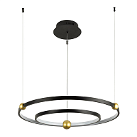 Купить Подвесная светодиодная люстра Divinare Amadeo 1123/04 SP-65 в Туле