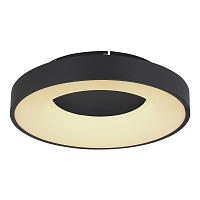 Купить Потолочный светодиодный светильник Globo Jolli 41758-30B в Туле