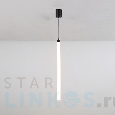 Купить Подвесной светильник Maytoni Ray P022PL-L20B3K за 12 590 руб. в Туле фото 2 Купить с доставкой Подвесной светильник Maytoni Ray P022PL-L20B3K в Туле фото 2