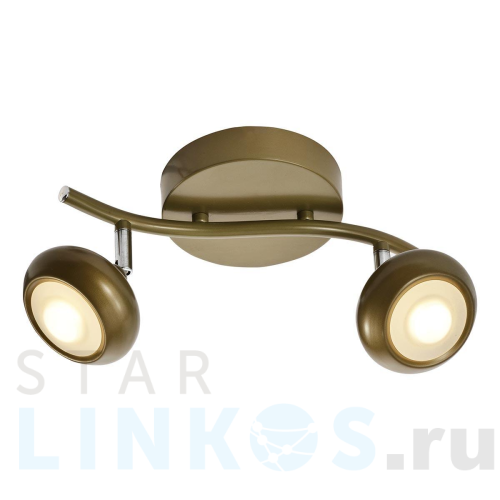 Купить Светодиодный спот Toplight Carissa TL1244Y-02SG за 999 руб. в Туле Купить с доставкой Светодиодный спот Toplight Carissa TL1244Y-02SG в Туле