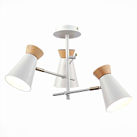 Купить Потолочная люстра Evoluce Alfeo SLE1252-502-03 в Туле