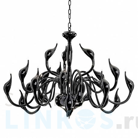 Купить Подвесная люстра Lightstar Cigno Collo Bk 751247 за 57 000 руб. в Туле фото 2 Купить с доставкой Подвесная люстра Lightstar Cigno Collo Bk 751247 в Туле фото 2