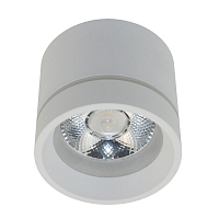 Купить Потолочный светодиодный светильник Aployt Gita APL.0043.09.05 в Туле