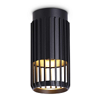 Купить Потолочный светильник Ambrella light Techno Spot Techno family TN51674 в Туле