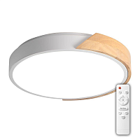 Купить Потолочный светодиодный светильник Jazzway PPB Sсandic-R 5036994 в Туле