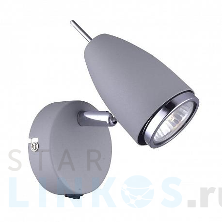 Купить с доставкой Спот Arte Lamp Regista A1966AP-1GY в Туле фото 2