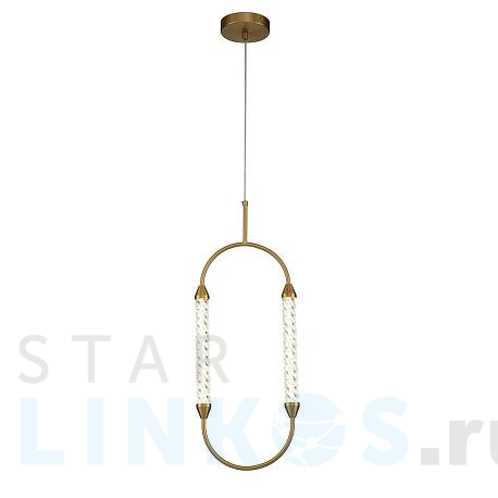 Купить Подвесной светодиодный светильник Indigo Ellisse 14005/1PGold V000028L за 14 680 руб. в Туле фото 2 Купить с доставкой Подвесной светодиодный светильник Indigo Ellisse 14005/1PGold V000028L в Туле фото 2