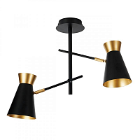 Купить Потолочная люстра IMEX MD.78853-2-S BK+FGD в Туле