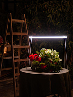 Купить Подставка для светильника ULI-P Uniel UFP-G20S H80 White UL-00007140 в Туле