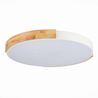 Купить Потолочный сетодиодный светильник Evoluce Delia SLE201352-01 в Туле