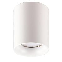 Купить Накладной потолочный светильник Ritter Arton 59976 0 в Туле