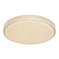 Купить Настенно-потолочный светодиодный светильник Globo Ovi 41749-40 в Туле