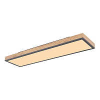 Купить Потолочный светодиодный светильник Globo Doro 416080WD4 в Туле