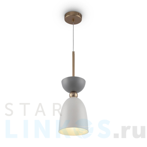 Купить Подвесной светильник Maytoni Cloches MOD113PL-01W за 6 490 руб. в Туле Купить с доставкой Подвесной светильник Maytoni Cloches MOD113PL-01W в Туле