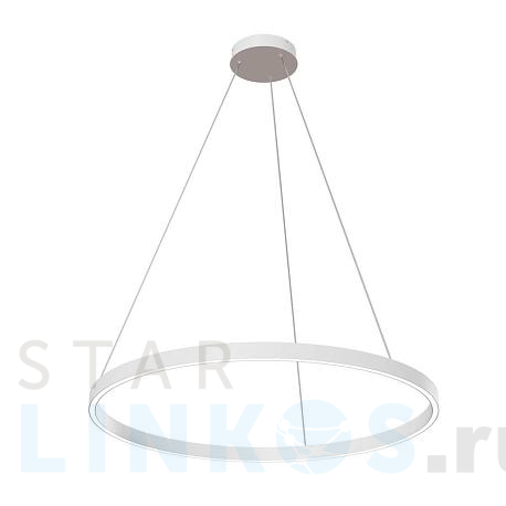 Купить Подвесной светодиодный светильник Maytoni Rim MOD058PL-L42W4K за 21 590 руб. в Туле фото 2 Купить с доставкой Подвесной светодиодный светильник Maytoni Rim MOD058PL-L42W4K в Туле фото 2