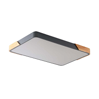 Купить Потолочный светильник Zortes ALBERRO ZRS.01277.60 в Туле