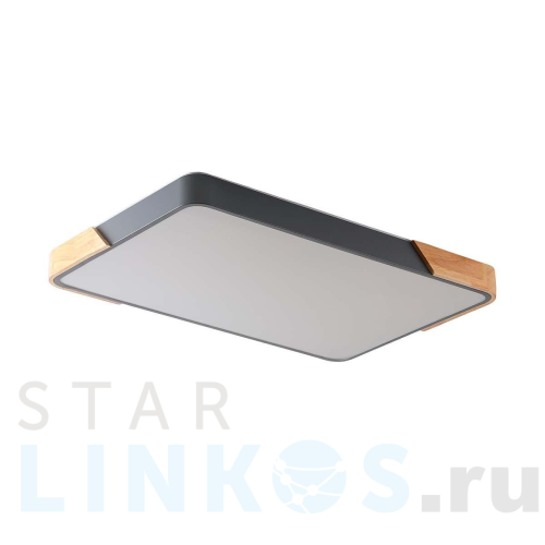 Купить Потолочный светильник Zortes ALBERRO ZRS.01277.60 за 14 850 руб. в Туле Купить с доставкой Потолочный светильник Zortes ALBERRO ZRS.01277.60 в Туле