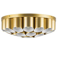 Купить Потолочная люстра Lightstar Siena 720222 в Туле