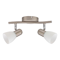 Купить Спот Toplight Violet TL1231Y-02SN в Туле