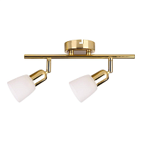 Купить Спот Escada 5039/2PA в Туле