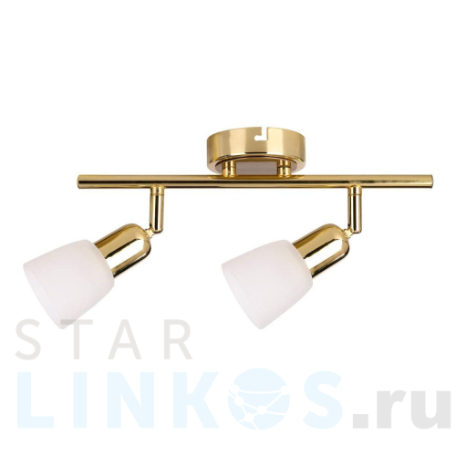 Купить Спот Escada 5039/2PA за 2 650 руб. в Туле Купить с доставкой Спот Escada 5039/2PA в Туле