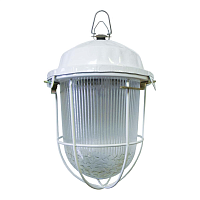 Купить Уличный подвесной светильник TDM Electric НСП 02-100-002.01 SQ0310-0010 в Туле
