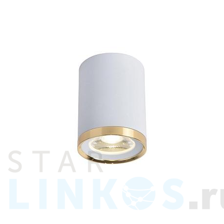 Купить Потолочный светильник Favourite Prakash 3085-1C за 3 400 руб. в Туле фото 2 Купить с доставкой Потолочный светильник Favourite Prakash 3085-1C в Туле фото 2