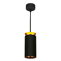 Купить Подвесной светодиодный светильник Elektrostandard DLS021 9+4W 4200К черный матовый/золото a045504 в Туле