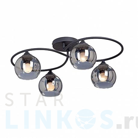 Купить Потолочная люстра Vitaluce V4965-1/4PL за 9 000 руб. в Туле фото 2 Купить с доставкой Потолочная люстра Vitaluce V4965-1/4PL в Туле фото 2